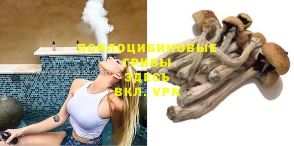 шишки Бородино